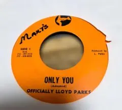 ONLY YOU / VERSION - Lloyd Parks