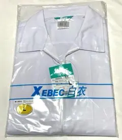 Item thumbnail for item 8c0fafd3-88a2-4d83-92ac-7abfecb92d52