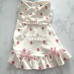 【匿名発送】ペットパラダイス いちご 犬服 ワンピース SSサイズのサムネイル