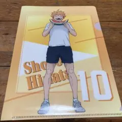 日向翔陽 クリアファイル 10 ハイキュー!! A5相当サイズ