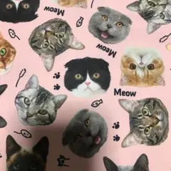 momo様 リクエスト 3点 まとめ商品