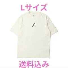 ナイキ エアジョーダン フラグメント ユニオン Tシャツ Lサイズ
