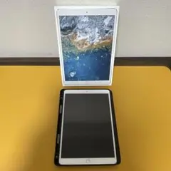 美品　iPad Pro(10.5インチ)256GB Wi-Fi 付属品付き
