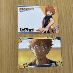 ハイキュー 日向 Vリーグ IDカード パス風 ハイキュー展 マグネット