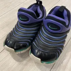 Nike ダイナモフリー　19cm