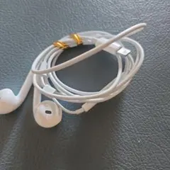 Item thumbnail for item 257aabe0-9765-4ceb-b8a2-926b11efe8fe