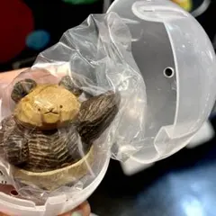 たかはたまさお 木彫り風 FIGURE COLLECTION おすもう熊