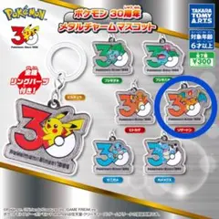 【新品】ポケモン 30周年 メタルチャームマスコット リザードン②