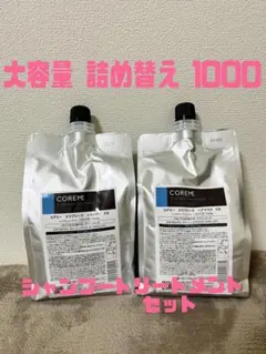 アリミノ コアミー エラプシークCS シャンプー&トリートメントセット 1000 アリミノ コアミー エラプシークCS シャンプー&トリートメントセット