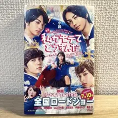 私がモテてどうすんだ 小説。