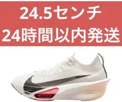 2025年最新】アルファフライ24.5の人気アイテム - メルカリ