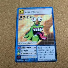 ヨッシーアイランドDS クリアカード パックンフラワー ニンテンドー
