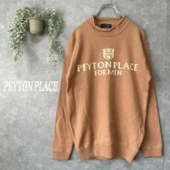 ペイトンプレイス　ロゴニットセーター　長袖【F】ウール100％　ユニセックス