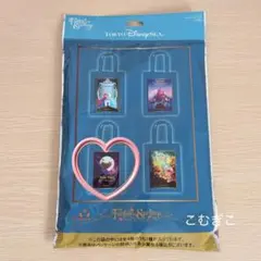 【新品未使用】ディズニー　ファンタジースプリングス　トートバッグ　ピーターパン