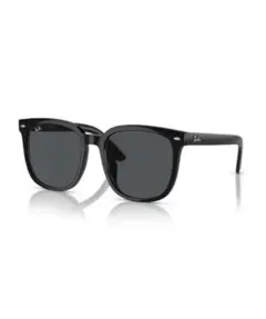 Ray-Ban サングラス RB4392D 二ヶ月使用