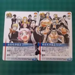 BLEACH 魂カード 女性死神協会 J-011 - メルカリ
