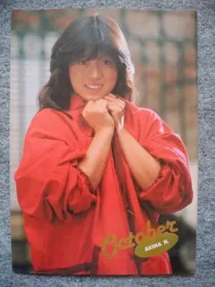 中森明菜　カラーポート　B５サイズ　明星付録からの切り抜き