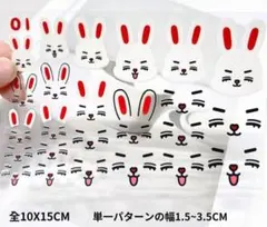2026年最新】miniteen seventeen エスクプスの人気アイテム - メルカリ