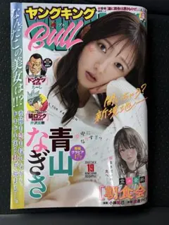 ヤングキングbull 2025/19号　青山なぎさ　応募券付