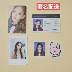 ルセラフィム サクラ　シーグリ 2023 トレカ ステッカー 証明写真