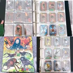 2026年最新】ムシキング ファイルの人気アイテム - メルカリ