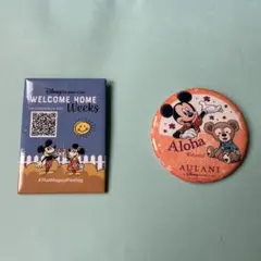 ディズニーの缶バッジ