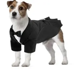QUEENMORE 犬 タキシード コスプレ 誕生日 コスチューム ブラックXS