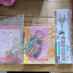 2013 2015 Japan tour KARAのキーホルダーセット
