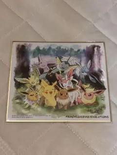 2025年最新】イーブイ 色紙の人気アイテム - メルカリ