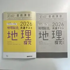 【書き込み無し】2026 共通テスト対策 実力完成 直前演習 地理総合 地理探究のサムネイル