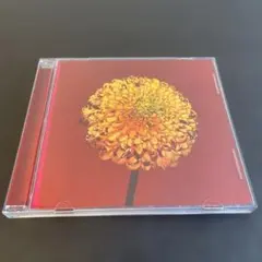 (R20) RADWIMPS //Mountain Top/Shape ...