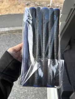 Item thumbnail for item 2f16581f-2694-4f52-9287-0bde9a965b40