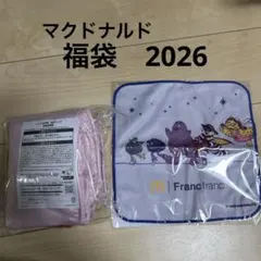 マクドナルド　福袋　保温保冷バッグ　ハンドタオル