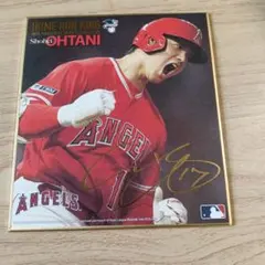おまけ付き 大谷翔平 限定品3000個 金メダル2個 2023年 HR王獲得記念