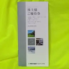 東急不動産ホールディングス　株主優待券