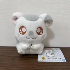 ハム太郎 一番くじ D賞 こうしくん ぬいぐるみ