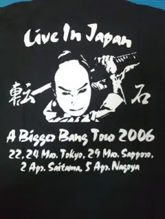 ローリングストーンズThe Rolling Stones転石