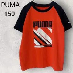 プーマ Tシャツ 半袖 150 オレンジ ロゴプリント スポーツ 運動 伸縮性