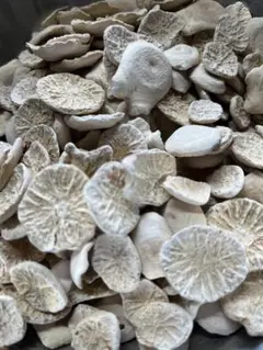 びびあん@コメントSALE中様 リクエスト 3点 まとめ商品