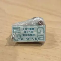 アイドルホース 東京新聞杯ウォーターリヒト ガチャガチャのサムネイル