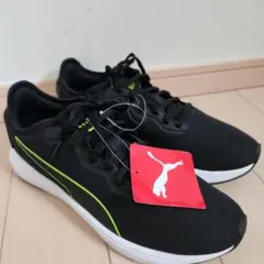 Item thumbnail for item ca88a088-c62f-47d3-a765-83f458e269eb