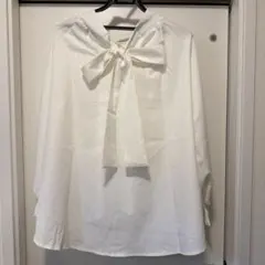 Item thumbnail for item 6e945ba7-dd54-4dac-8348-c216490a9e42