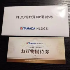 YAMADA HLDGS. お買物優待券 6枚セット 3千円分