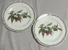 Noritake ノリタケ　オーチャードガーデン　2枚セット