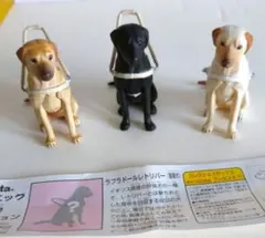 【海洋堂】 【レア】 チョコエッグシークレットのラブラドールレトリバー盲導犬3種