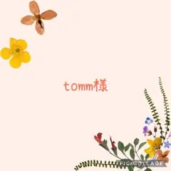 tomm様 リクエスト 2点 まとめ商品