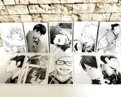 ハイキュー　10th クロニクル　思い出スナップフォトカード　117枚