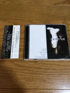 2025年最新】sadie 剣の人気アイテム - メルカリ