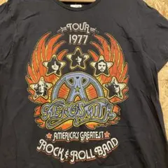 90s【Aerosmith エアロスミス】 Tシャツ ビンテージ パスヘッド M