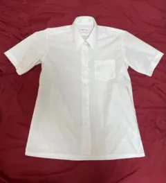 Item thumbnail for item e9d72427-516f-41e8-8ee5-4f6759d7b016